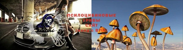 ешки Медногорск