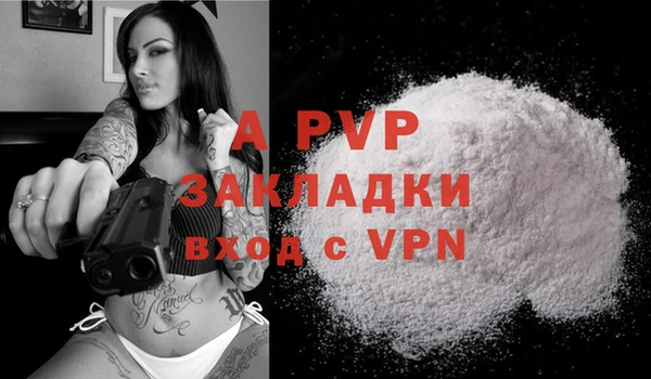 ешки Медногорск